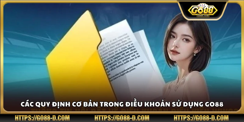 Các điều khoản cơ bản dành cho người dùng nền tảng