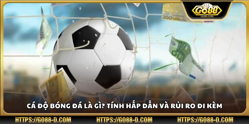 Giới thiệu về cá độ bóng đá và những điều nên biết