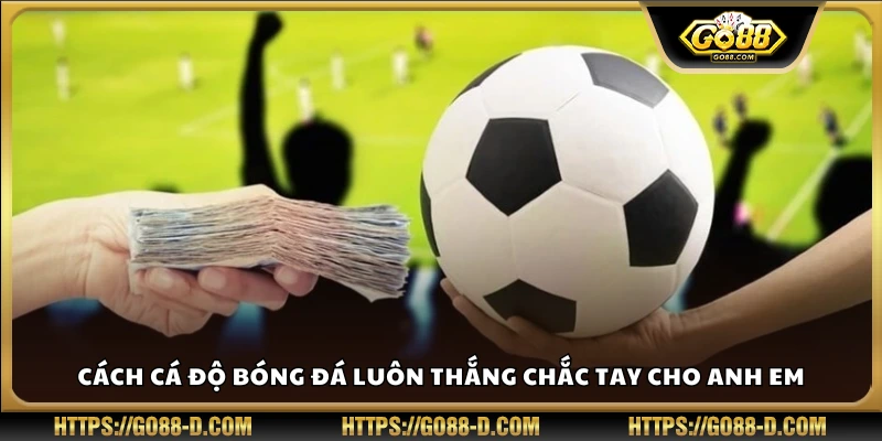 Cách cá độ bóng đá luôn thắng để chơi vững vàng hơn